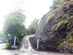 Road to Governor's Mansion with trees cut down