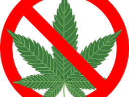 jJust say no to marijuana symbol