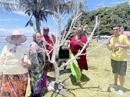 Matu’u & Faganeanea Youth putting up their Christmas display