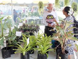 Mike Burke of Leone wbeing interviewed with his plants