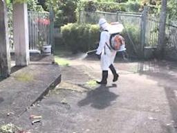 SPRAYING TO PREVENT DENGUE FEVER