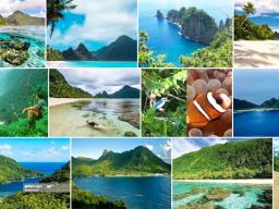 Vaiety of Nat'l Park of American Samoa photos