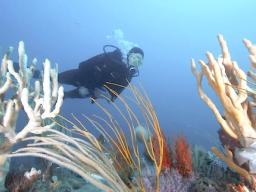 PROPOSED MARINE RESERVE