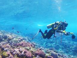NOAA scientist off Swains Island