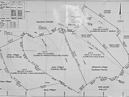 Nu'u Fou land survey