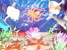 Ocean diorama