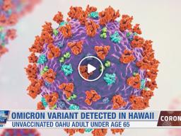The coronavirus Omicron variant image