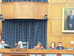 Congresswoman Amata and other Insular Representatives 