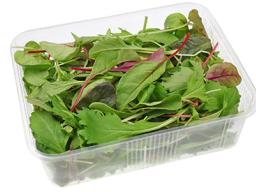 packaged salad