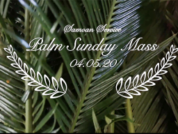 Diocese of Samoa Pago Pago Facebook page