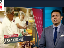 Screenshot from PBS New Hour Weekend