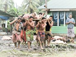 Samoan men carrying umu makings 