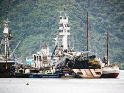 Purse Seiner vessels in Pago harbor