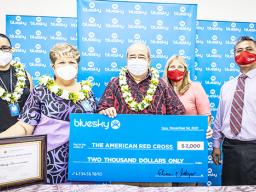 Bluesky staff with check