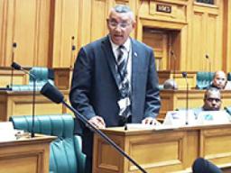 Aua Representative Faimealelei Anthony Allen 