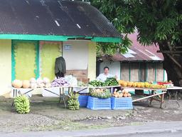 Asian-operated roadside stall at Faleniu