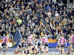 Rugby match in New Zealand with fans in the stands