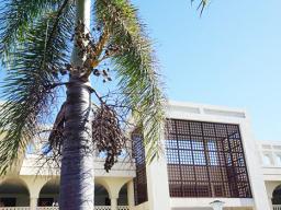 Samoa courthouse