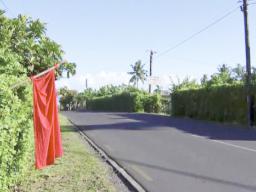 Empty street in Apia with red flag outside a yard.