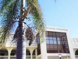 Samoa Supreme Court