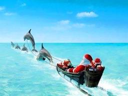Santa and his dolphin crew