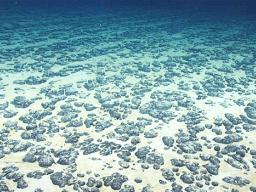 Polymetallic nodules