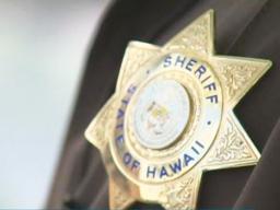 Sheriff's badge