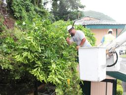 ASPA crew members clearing tree branches that fell on top of lines behind Samoa News
