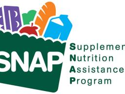 SNAP LOGO