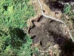 One of many star mounds now revealed. 