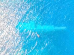 Sunken HMNZS Manawanui