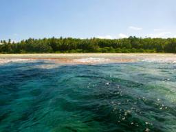swains island