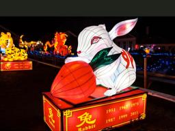 Year of the Rabbit graphic