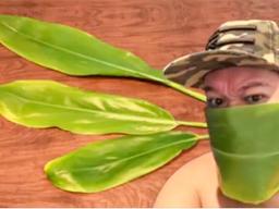 Man in a ti leaf face mask
