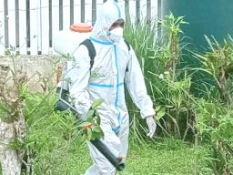 SPRAYING TO PREVENT DENGUE FEVER