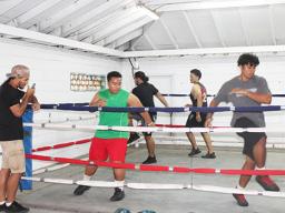 Boxers in a training session in the ring