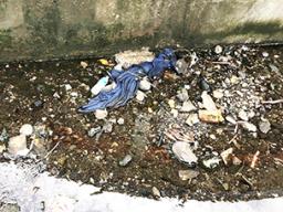 trash found during October’s government clean-up day