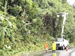 DPW trimming trees along the roadside