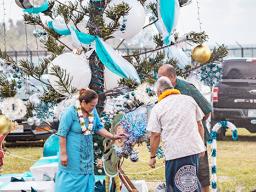 Christmas Tree lighting