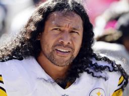  Pittsburgh Steelers strong safety Troy Polamalu watches from the bench in a file photo