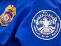 TSA graphic