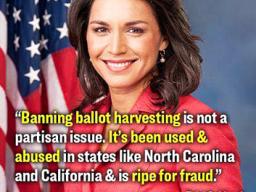 Tulsi Gabbard