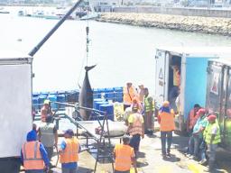 The port in Manta, Ecuador.