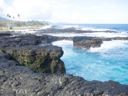 TURTLE AND SHARK AREA