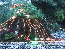 Christmas lights on Mauga-O-Ali’i 
