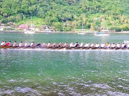 the Fuao or "Manu Fe'ai" from Vatia
