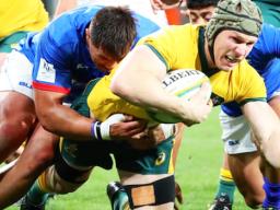 David Pocock inaction against Samoa