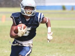 Marcus Samia of Vatia