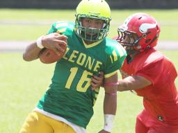 Fagaloa Faimalo of Leone 