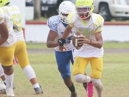 Leone Lions quarterback, Oakland Salave’a